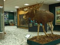 Брянский государственный краеведческий музей