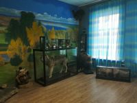 Лукояновский краеведческий музей