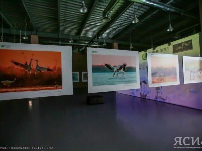 На прекрасном озере Поянг: В Якутске открылась эко-выставка журналиста из Китая