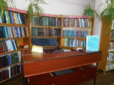 Новобогородицкая библиотека