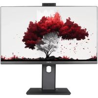 Монитор 23,8" RDW Computers RDW2402K/F00B3 черный IPS 16:9 HDMI M/M Cam матовая HAS Piv 250cd 178гр/178гр 1920x1080 75Hz VGA DP FHD (RUS)