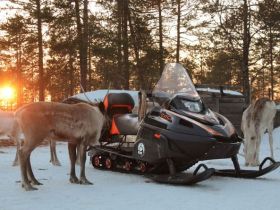 Снегоход РУССКАЯ МЕХАНИКА Тайга Patrul 550 SWT