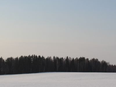 Священная роща