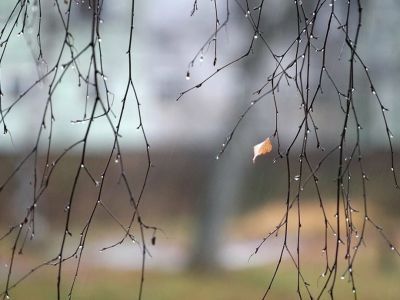 В субботу - сильный ветер