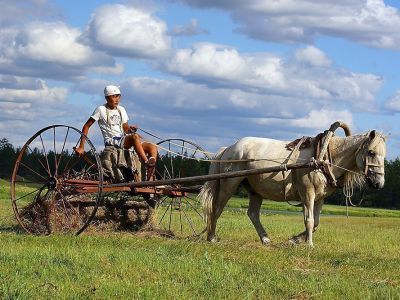 Александр Атласов: Мы делаем ставку на инвестиции и модернизацию АПК