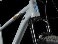 Горный велосипед Cube Access WS SLX 29 M, год 2023, цвет Серый-Серый, ростовка 20