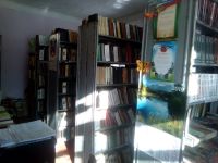 Нестеркинская библиотека