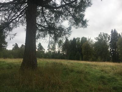 Дом, где жил худ. Крамской М.Н.