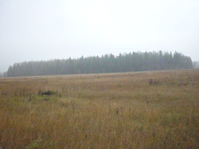 Священная роща