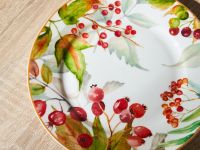 Тарелка Шиповник/Rose hip I