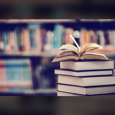 Обсуждаем книгу Айрис Вольф «Проблески»