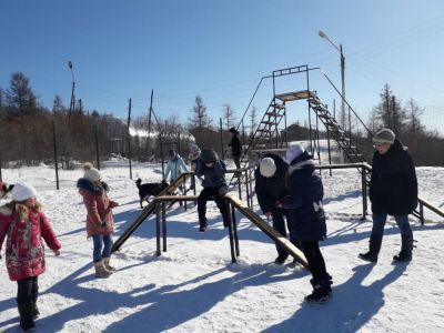 Приют «Верный друг»: настоящий дом для собак
