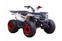 Квадроцикл BISON ATV 125 Wild