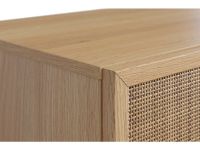 Распашной шкаф Флавир 4-160x250 Ротанг