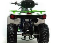 Квадроцикл MOTOLAND 200 Shark (2021 Г.)