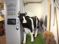 Дом-усадьба К. Э. Циолковского