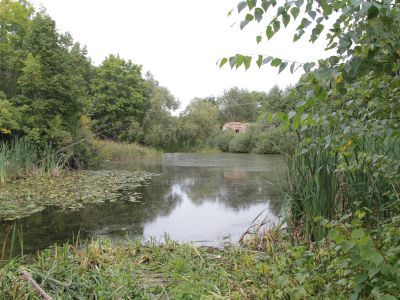 Усадьба Яновича