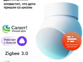 Датчик движения Sber