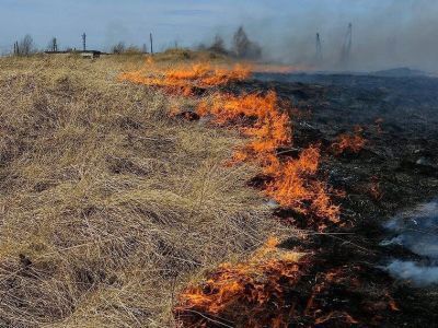 Юрий Трутнев поручил главам дальневосточных регионов усилить контроль за сельхозпалами