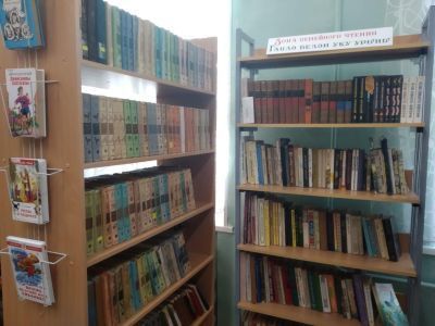 Федотовская сельская библиотека – филиал № 35