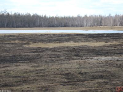 Трое жителей Якутии привлечены к ответственности за выжигание сухой травы