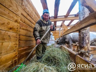 Более 34 млн рублей направят в Якутии на выплаты молодым специалистам в сфере сельского хозяйства