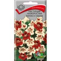 Настурция низкорослая Клубника со сливками
