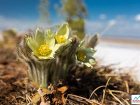 По Кангаласскому Мысу