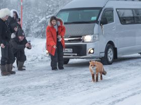 Автотур "Колыма". Маршрут: Якутск - Оймякон - Магадан