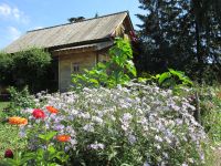 Музей-усадьба городского быта «Симбирск конца XIX – начала XX века»