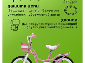 Детский велосипед Royal Baby Little Swan 12, год 2024, цвет Розовый