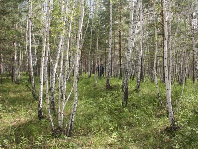 Юйськовский форпост - первое поселение района, основанное в 1741 году