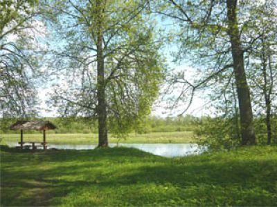 Усадьба Милюковых. Парк