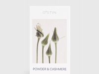 Парфюмированная вода Powder & Cashmere, 30 мл, Мультицвет