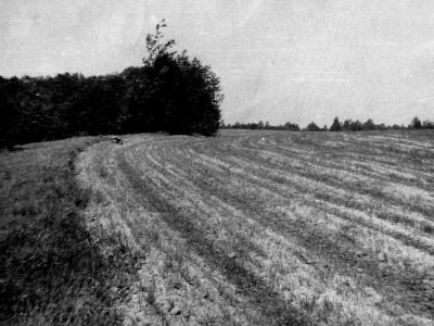 Стоянка Котовщина-I