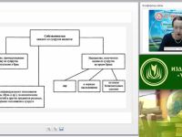 Вебинар "Правовые аспекты разрешения и сопровождения семейных конфликтов"