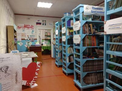 Среднеагинская сельская библиотека, филиал № 13