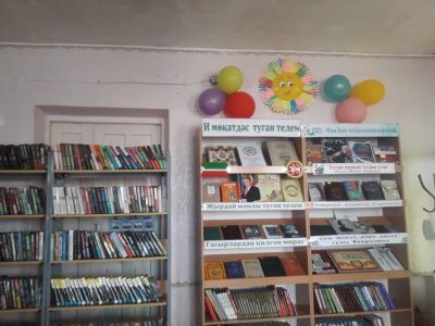 Татарско-Кандызская сельская библиотека