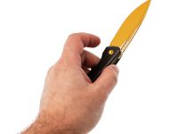 Складной нож TuoTown RT-Stinger Gold PVD, сталь T14N, рукоять Black Crystal Ti