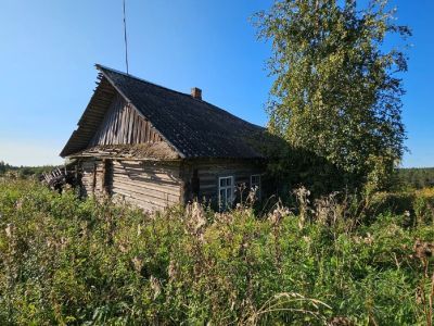 Изба А.В. Басова