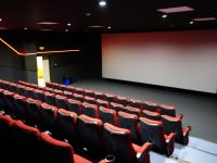 Кинотеатр «Террикон»