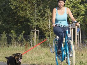 Велоповодок для собак ACME M-Wave (черный)