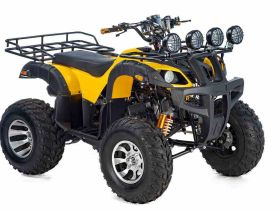 Квадроцикл TIGER Sport 250 (2024)