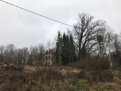 Усадебно-парковый комплекс «Каменка»