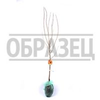 Абрикос Графиня (подвой абрикос) (в сетке)