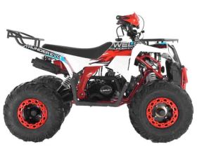 Квадроцикл WELS Thunder Evo X ST