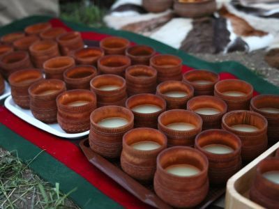 Ученые из Новосибирска придумали способ продлить срок хранения кумыса до двух недель