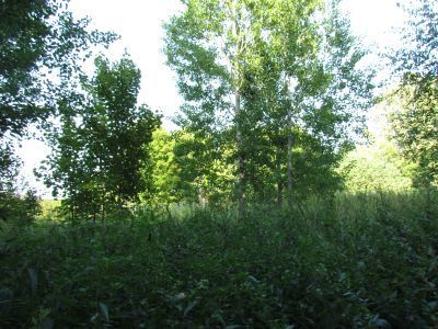 Мельница водяная