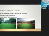 Международный вебинар "Особенности устройства и формирования газонов на участках различного назначения"