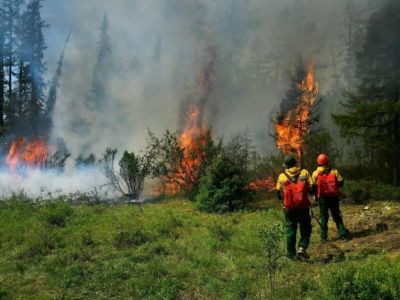 Новый лесной пожар возник в Хангаласском районе из-за неосторожности